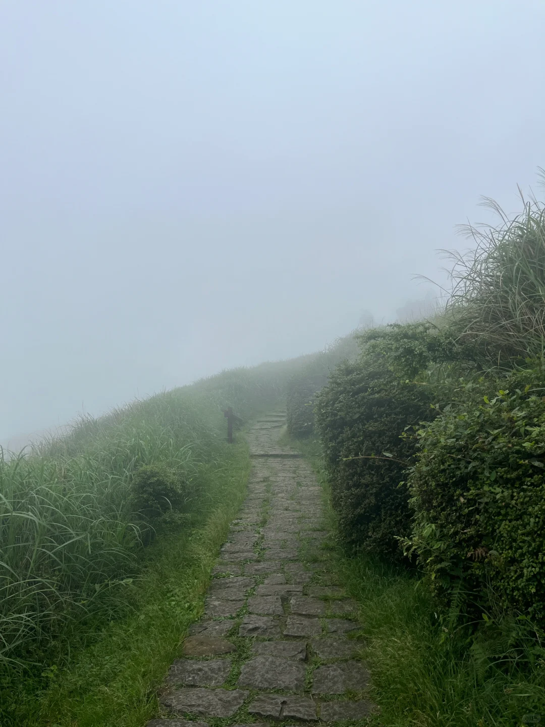 Taiwan-Taipei Yangmingshan, must visit Xiaoyoukeng, Menghuan Lake and Qingtiangang