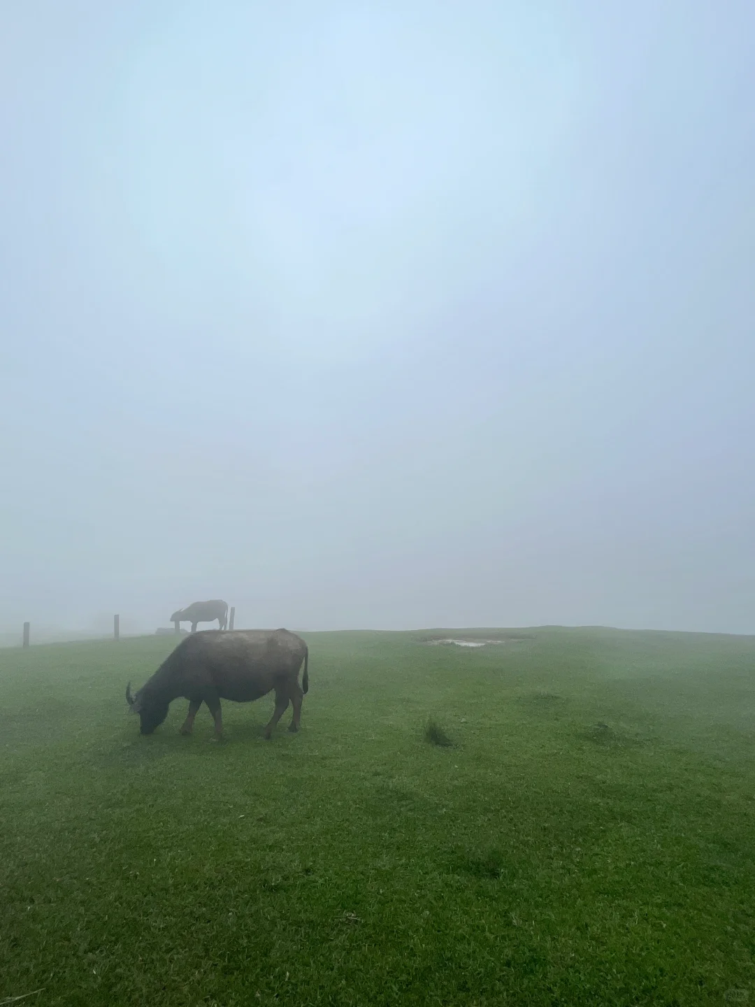 Taiwan-Taipei Yangmingshan, must visit Xiaoyoukeng, Menghuan Lake and Qingtiangang