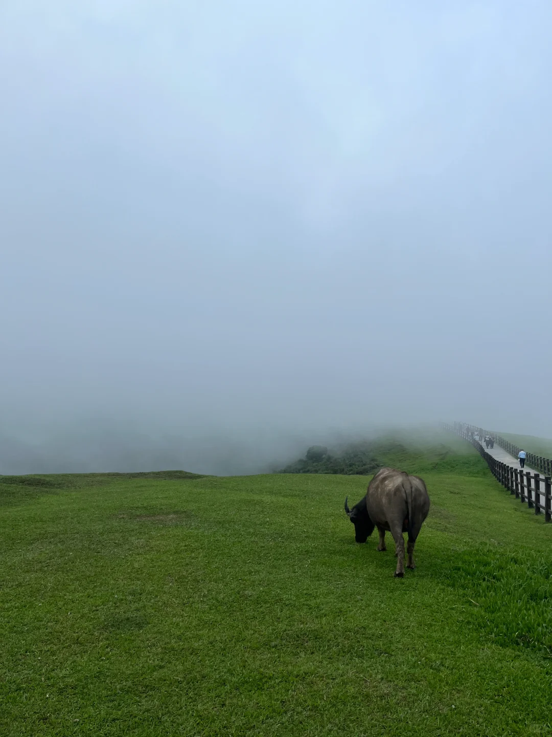Taiwan-Taipei Yangmingshan, must visit Xiaoyoukeng, Menghuan Lake and Qingtiangang
