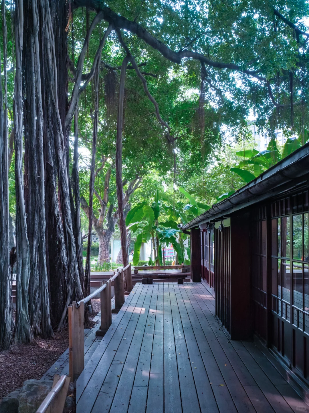 Taiwan-Recommended places to visit in Taichung: Audit Village, Cartoon Painted Lane, Taichung Art Museum