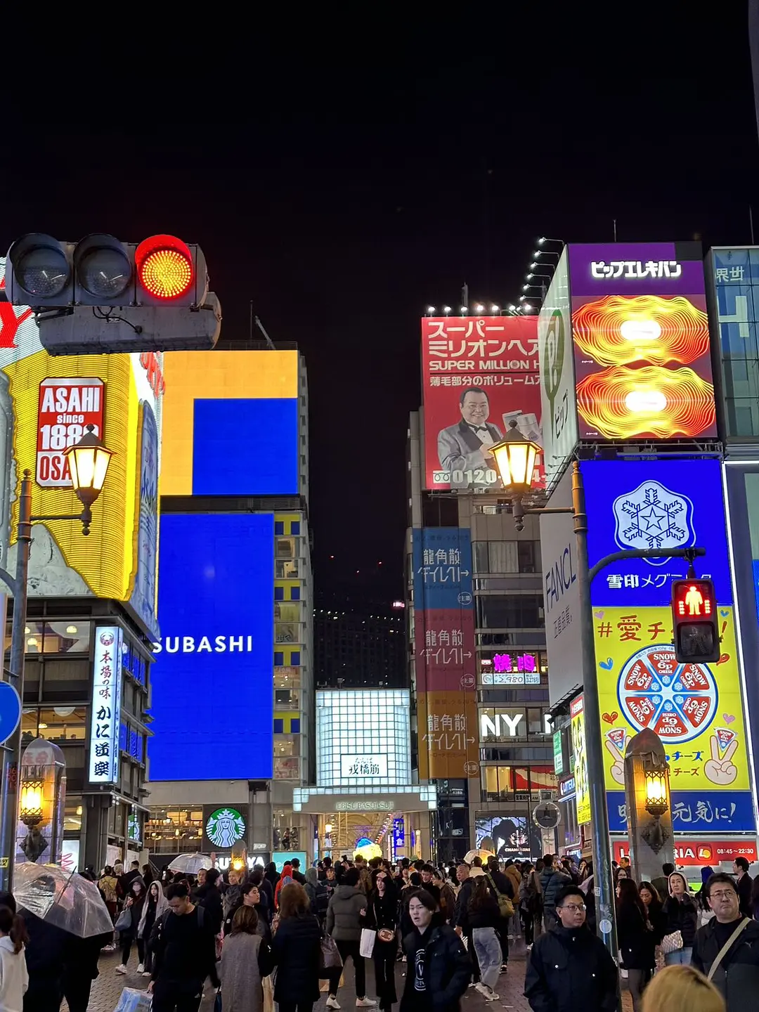 Osaka-10-Day Special Forces Tour in Japan: Tokyo + Osaka + Kyoto + Mount Fuji