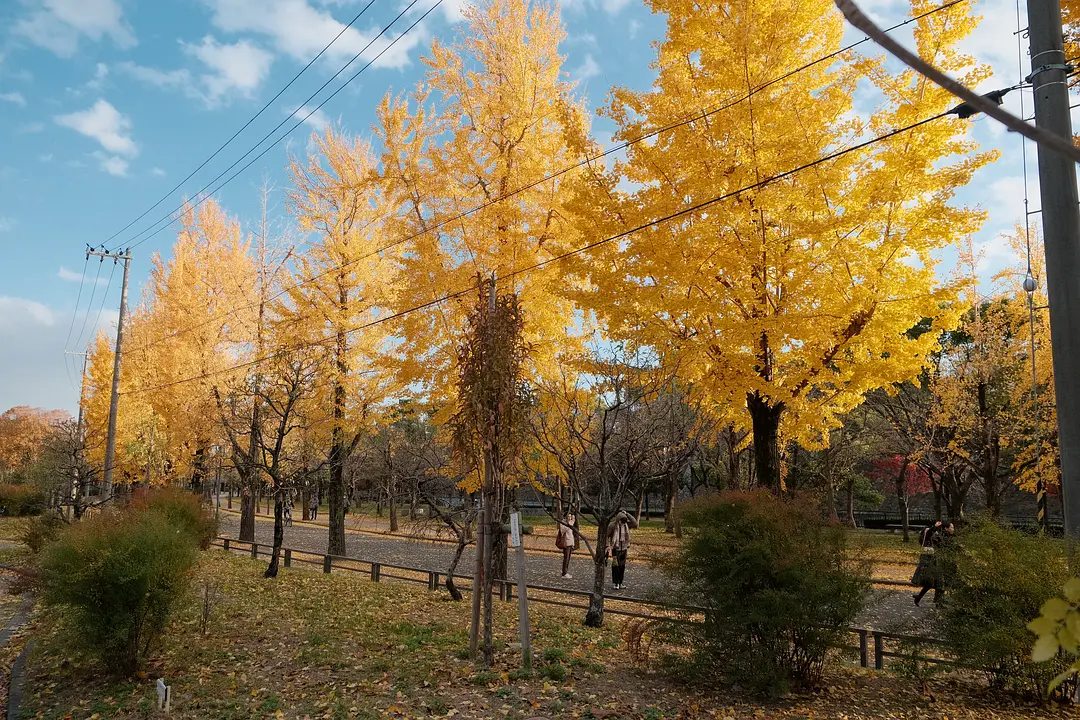 Osaka-Japanese anime travel, Osaka + Kyoto + Tokyo, each city has its own characteristics