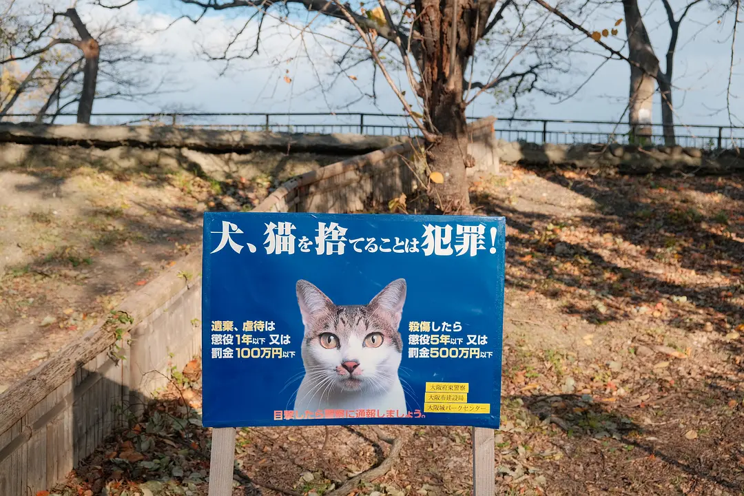 Osaka-Japanese anime travel, Osaka + Kyoto + Tokyo, each city has its own characteristics