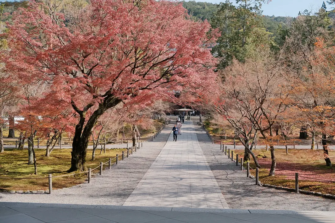 Osaka-Japanese anime travel, Osaka + Kyoto + Tokyo, each city has its own characteristics