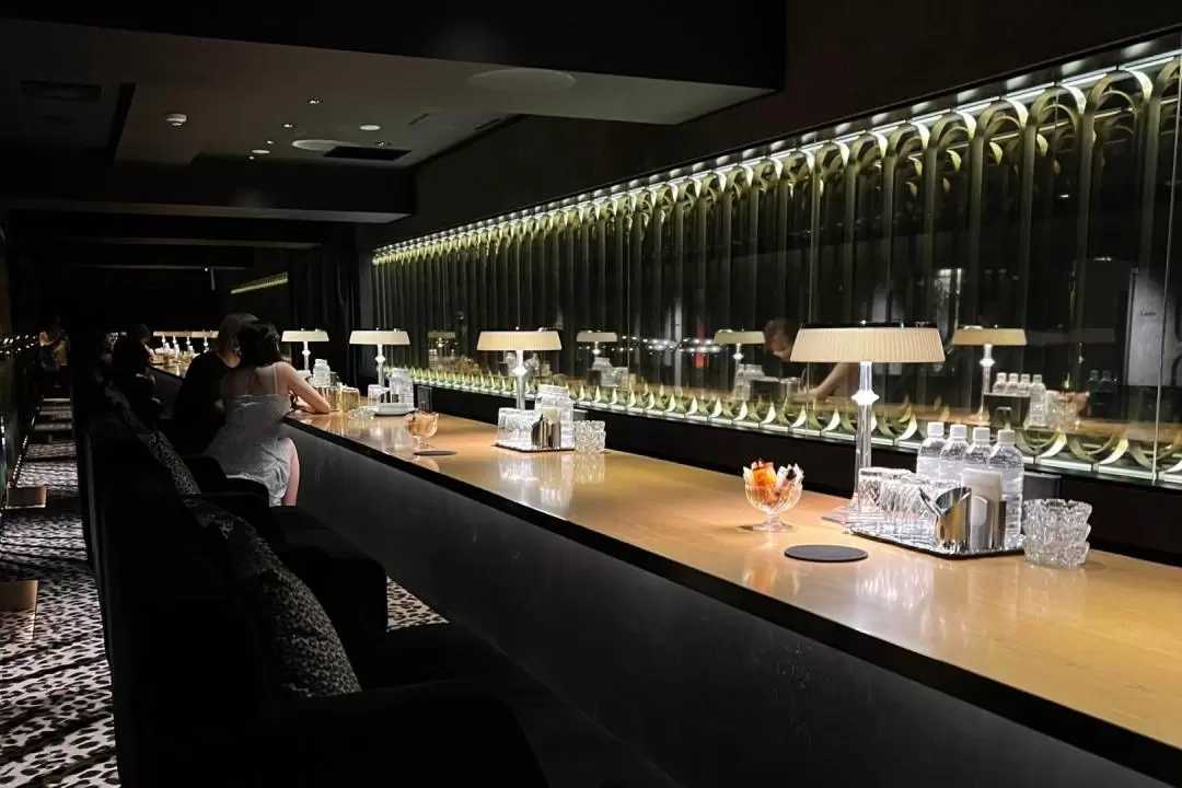 Osaka-Osaka Adult Only Bar & Hot Show In-depth Nightlife Tour