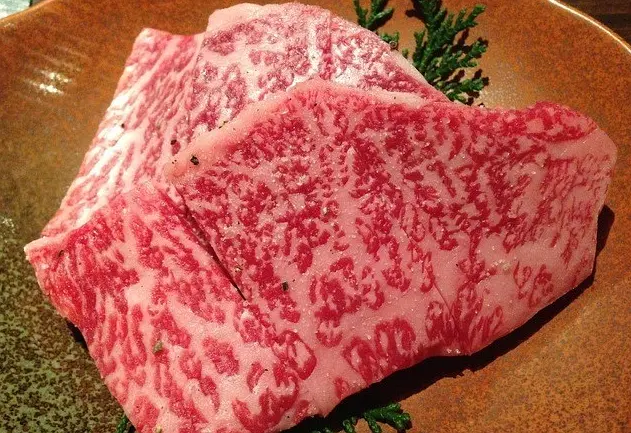 Osaka-2024 Osaka Dotonbori Food Guide Top 15 Restaurants [With Address]