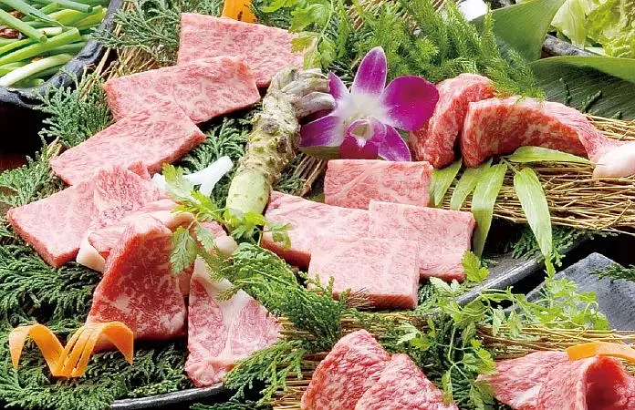 Osaka-Osaka Food & Where to Eat Japanese Wagyu Beef, This Article Tells You Everything