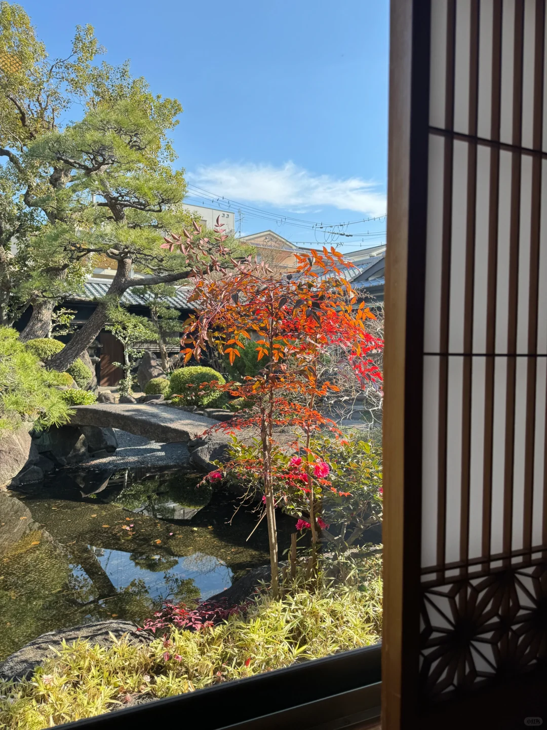Osaka-Osaka Minshuku Hotel Carpe Diem, a paradise decorated in the style of Japanese houses