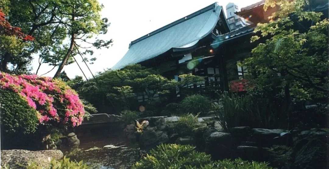 Osaka-Osaka's niche travel guide: 2 hours to visit 10 attractions in Osaka!