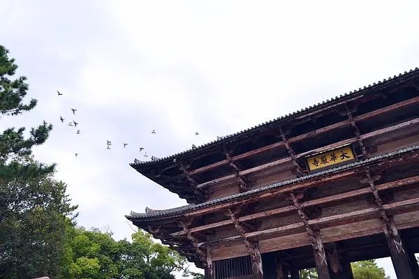 Osaka-A complete guide to Kansai. Osaka, Kyoto, Himeji, Nara. Itinerary design, food, entertainment, and scenic spot analysis