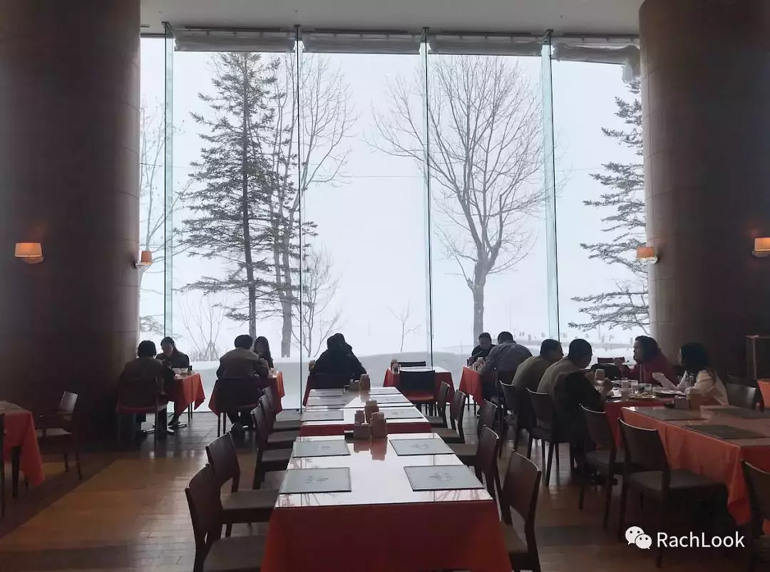 Sapporo/Hokkaido-Hokkaido vlog | Travel guide | Niche routes for your reference