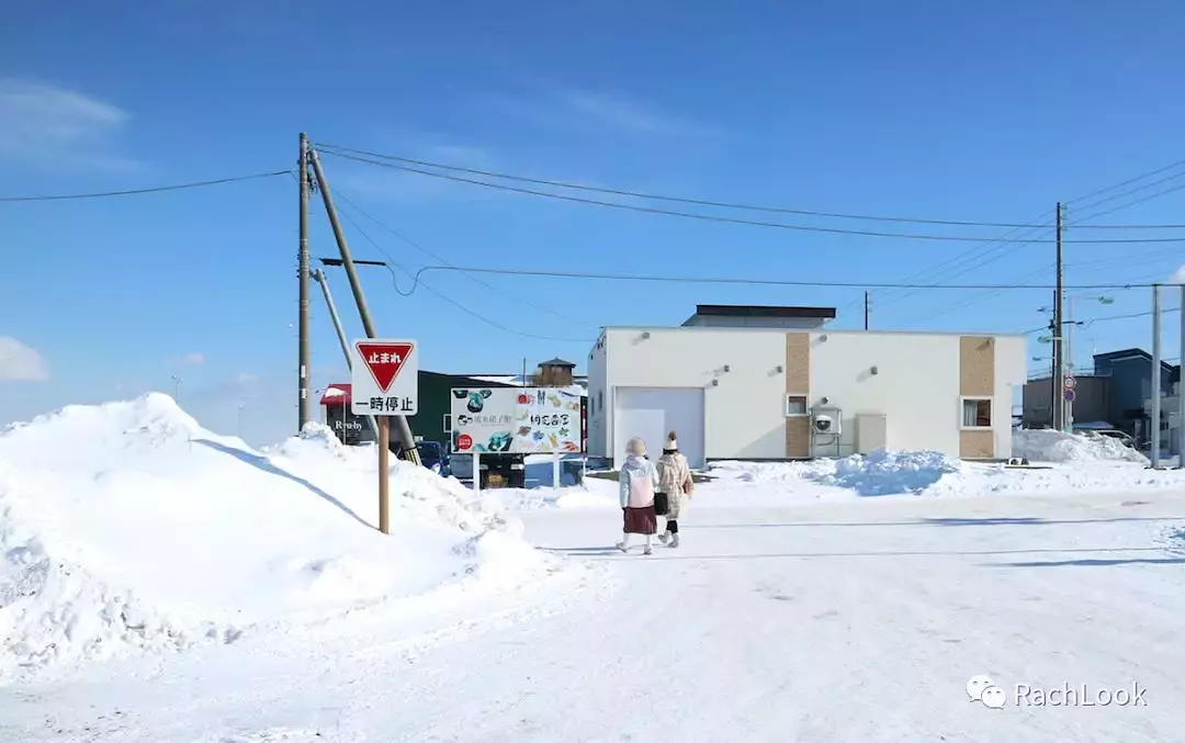 Sapporo/Hokkaido-Hokkaido vlog | Travel guide | Niche routes for your reference