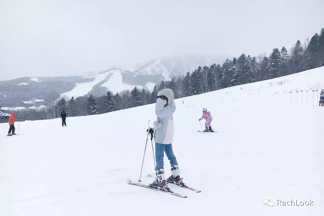 Sapporo/Hokkaido-Hokkaido vlog | Travel guide | Niche routes for your reference