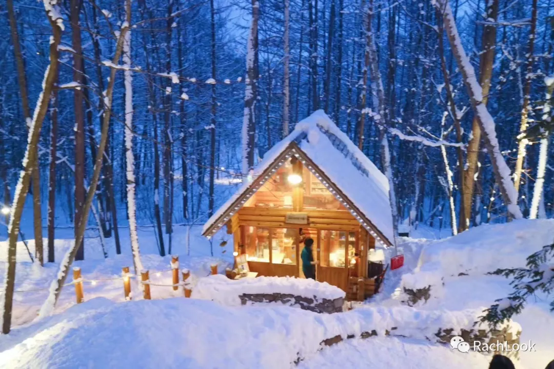 Sapporo/Hokkaido-Hokkaido Travel Guide | Sapporo/Shiretoko/Abashiri/Asahikawa/Hoshino | Off-the-beaten-path routes