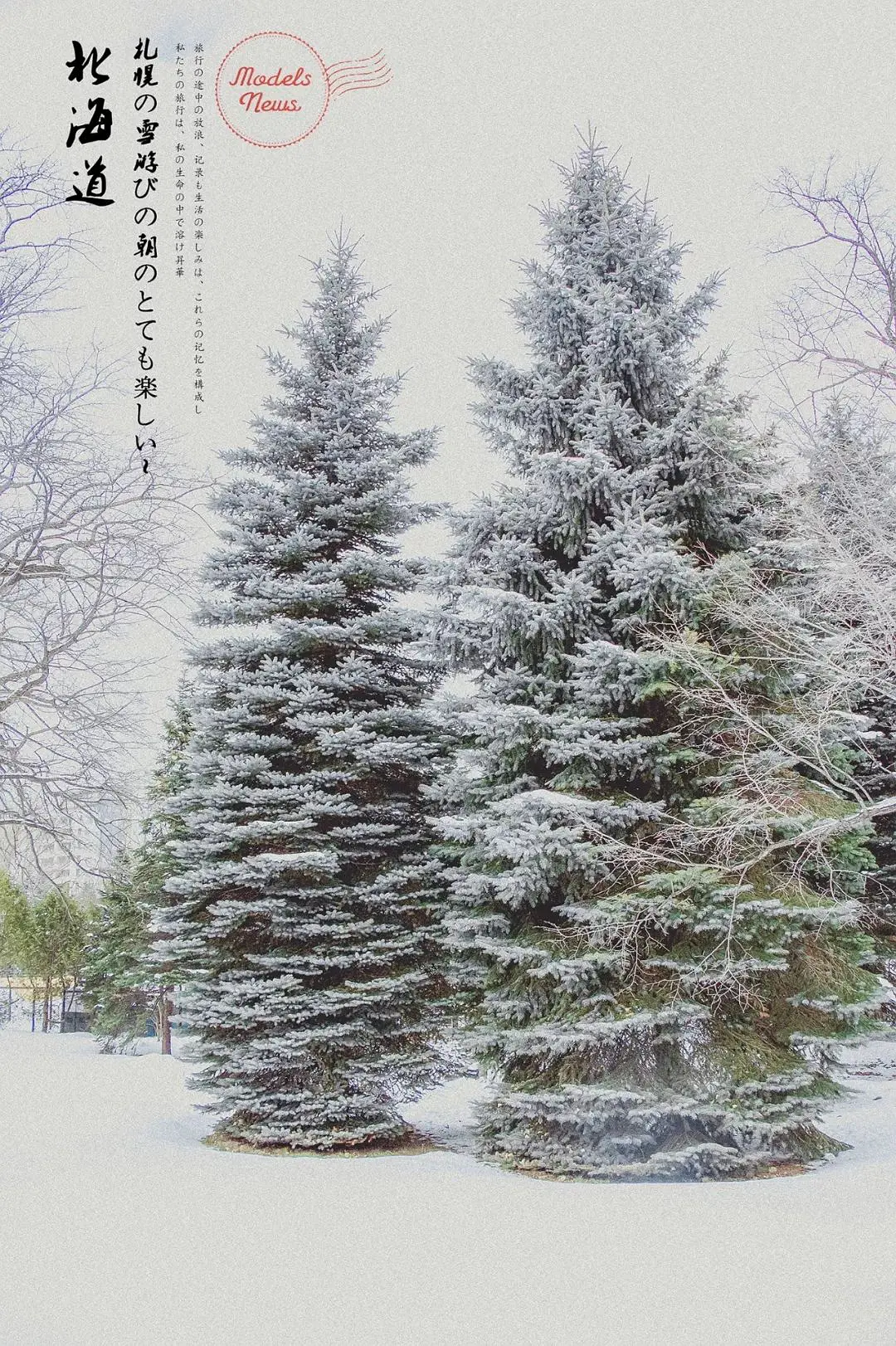 Sapporo/Hokkaido-Japan Travel Guide｜Sapporo, Hokkaido, hello, first time meeting you.