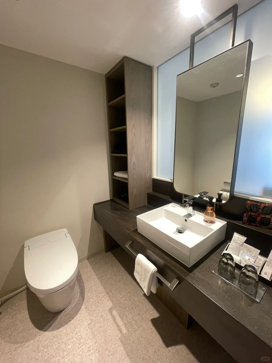 Sapporo/Hokkaido-Hokkaido 2023 New Hotel Hotel Emion Sapporo
