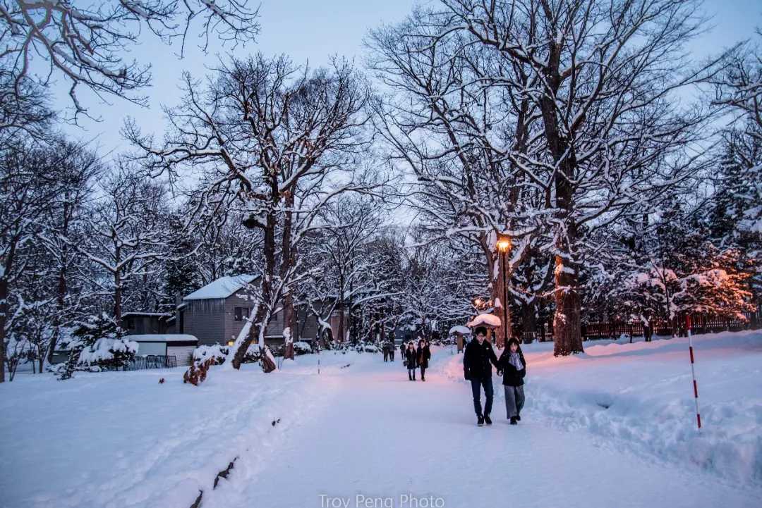 Sapporo/Hokkaido-White Lover-like Sapporo, Hokkaido, full of cherry blossoms and snow
