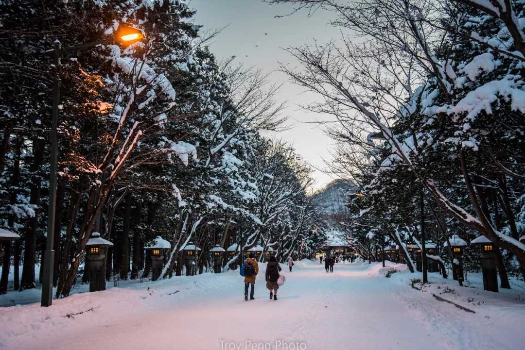 Sapporo/Hokkaido-White Lover-like Sapporo, Hokkaido, full of cherry blossoms and snow