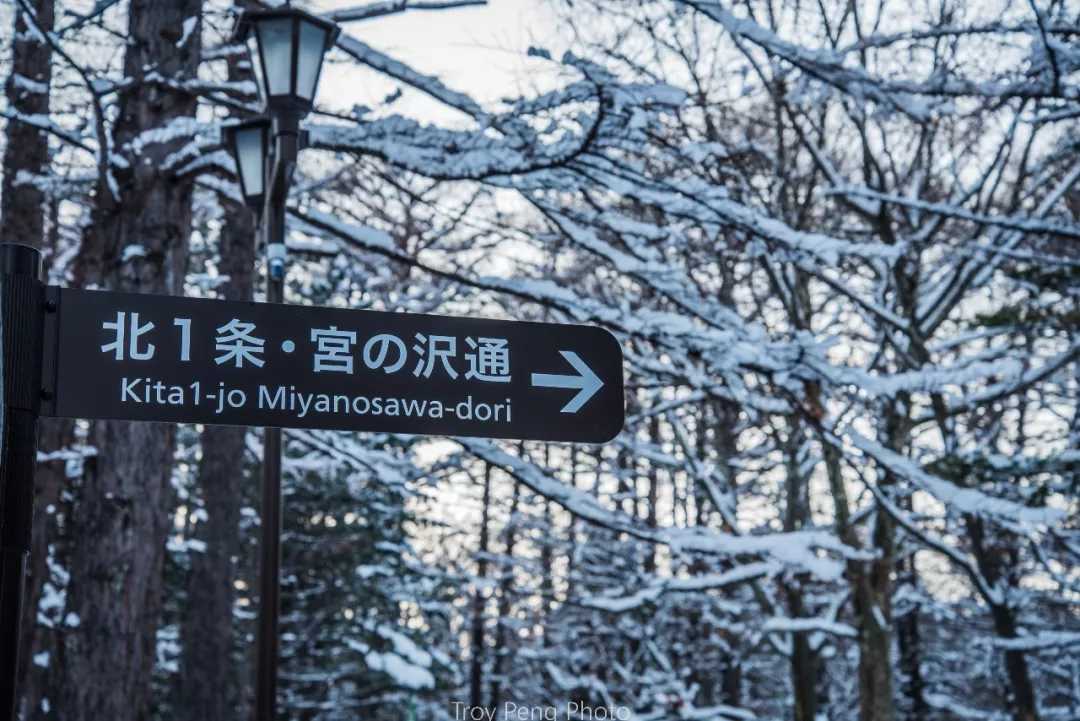 Sapporo/Hokkaido-White Lover-like Sapporo, Hokkaido, full of cherry blossoms and snow