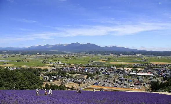 Sapporo/Hokkaido-Not just lavender fields! 20 recommended sightseeing spots in Furano, Hokkaido