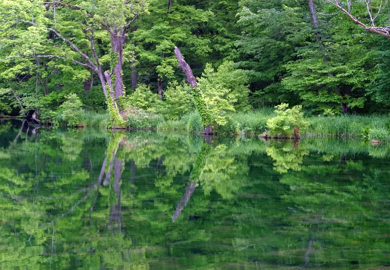 Sapporo/Hokkaido-Not just lavender fields! 20 recommended sightseeing spots in Furano, Hokkaido
