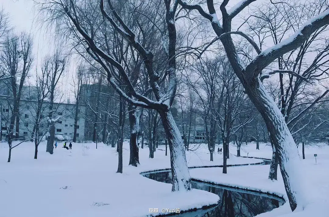 Sapporo/Hokkaido-Strolling in Sapporo, Hokkaido, the pearl of the north covered in snow