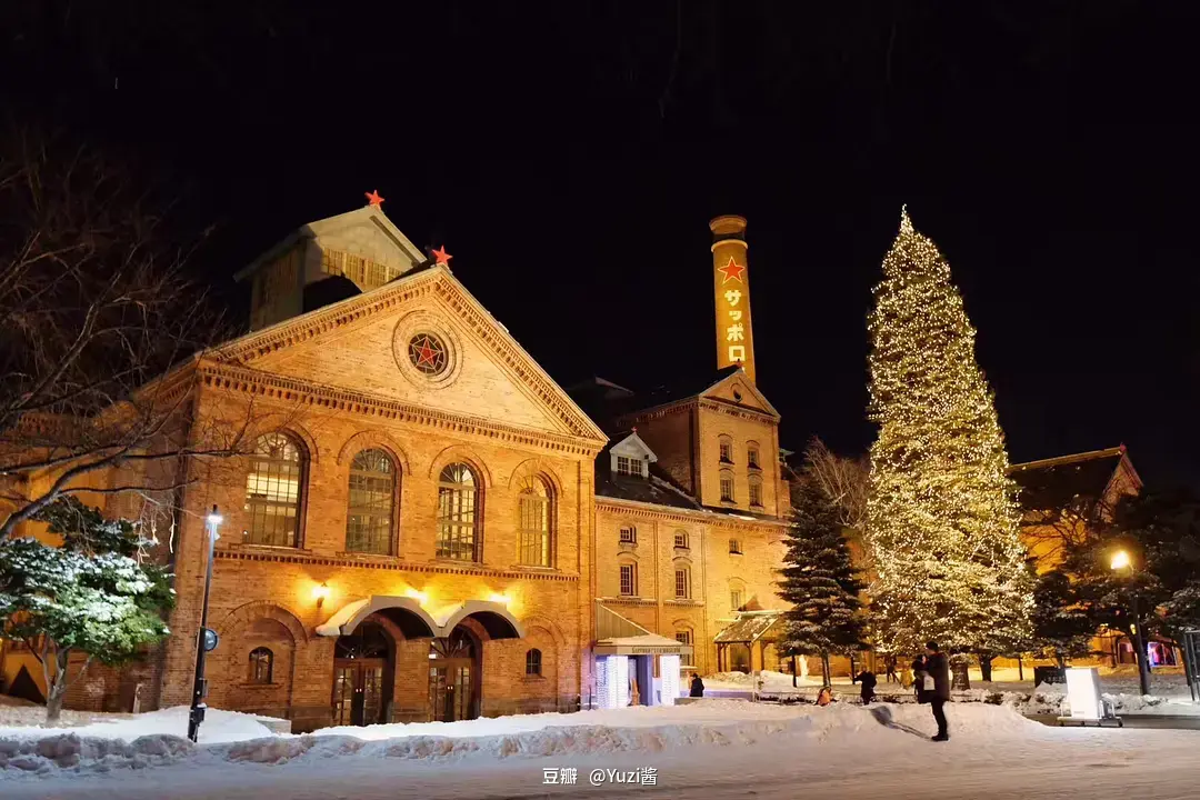 Sapporo/Hokkaido-Strolling in Sapporo, Hokkaido, the pearl of the north covered in snow