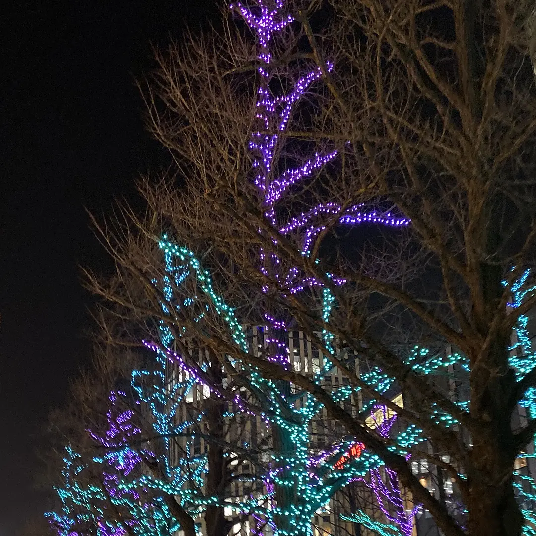 Sapporo/Hokkaido-Sapporo, Hokkaido, a place that can satisfy all your travel expectations