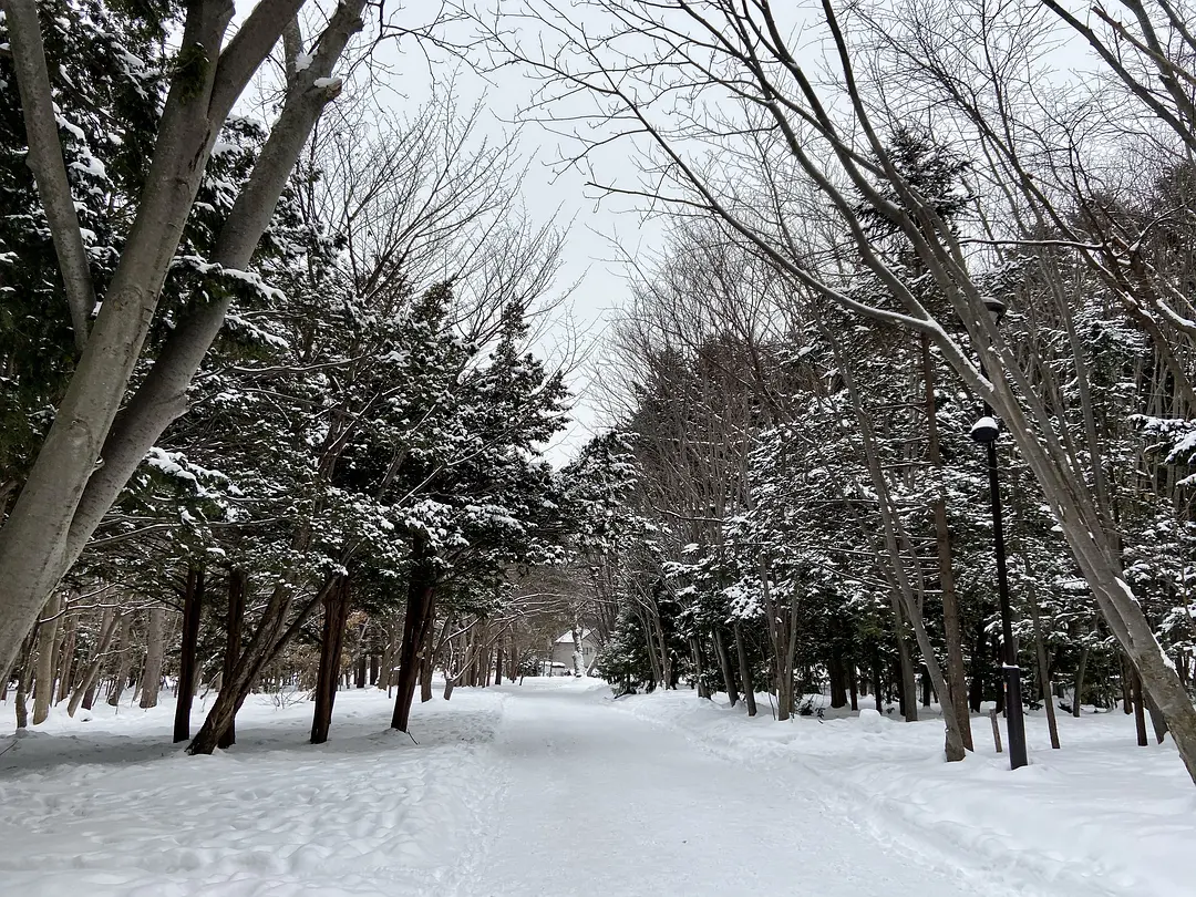 Sapporo/Hokkaido-Sapporo, Hokkaido, a place that can satisfy all your travel expectations