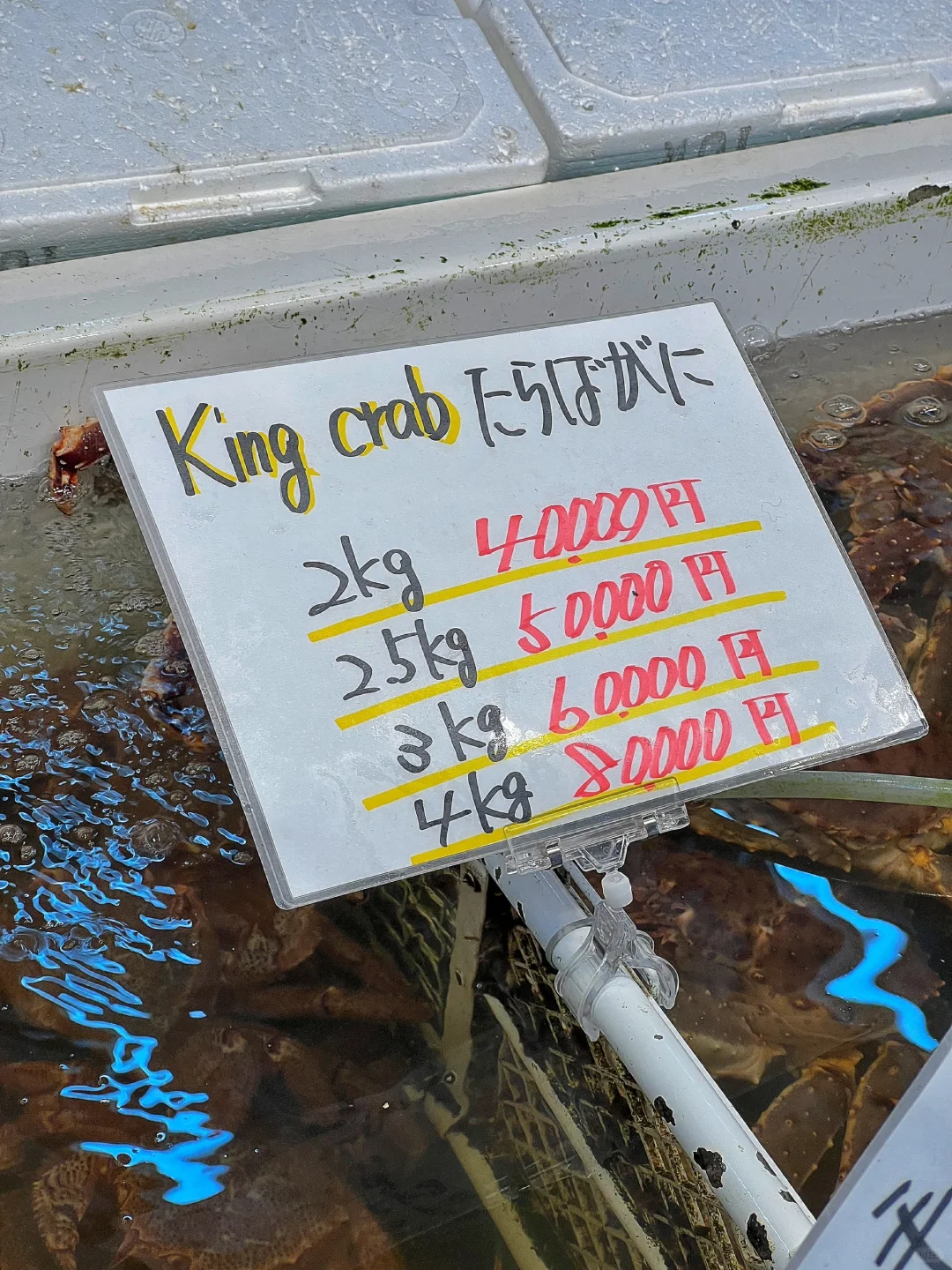 Sapporo/Hokkaido-In Sapporo and Otaru, you must come to the Triangle Seafood Market to eat king crab