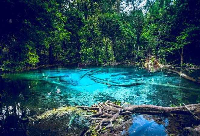 Krabi-Krabi, a small island far away from the hustle and bustle, is a karst wonderland on the sea!