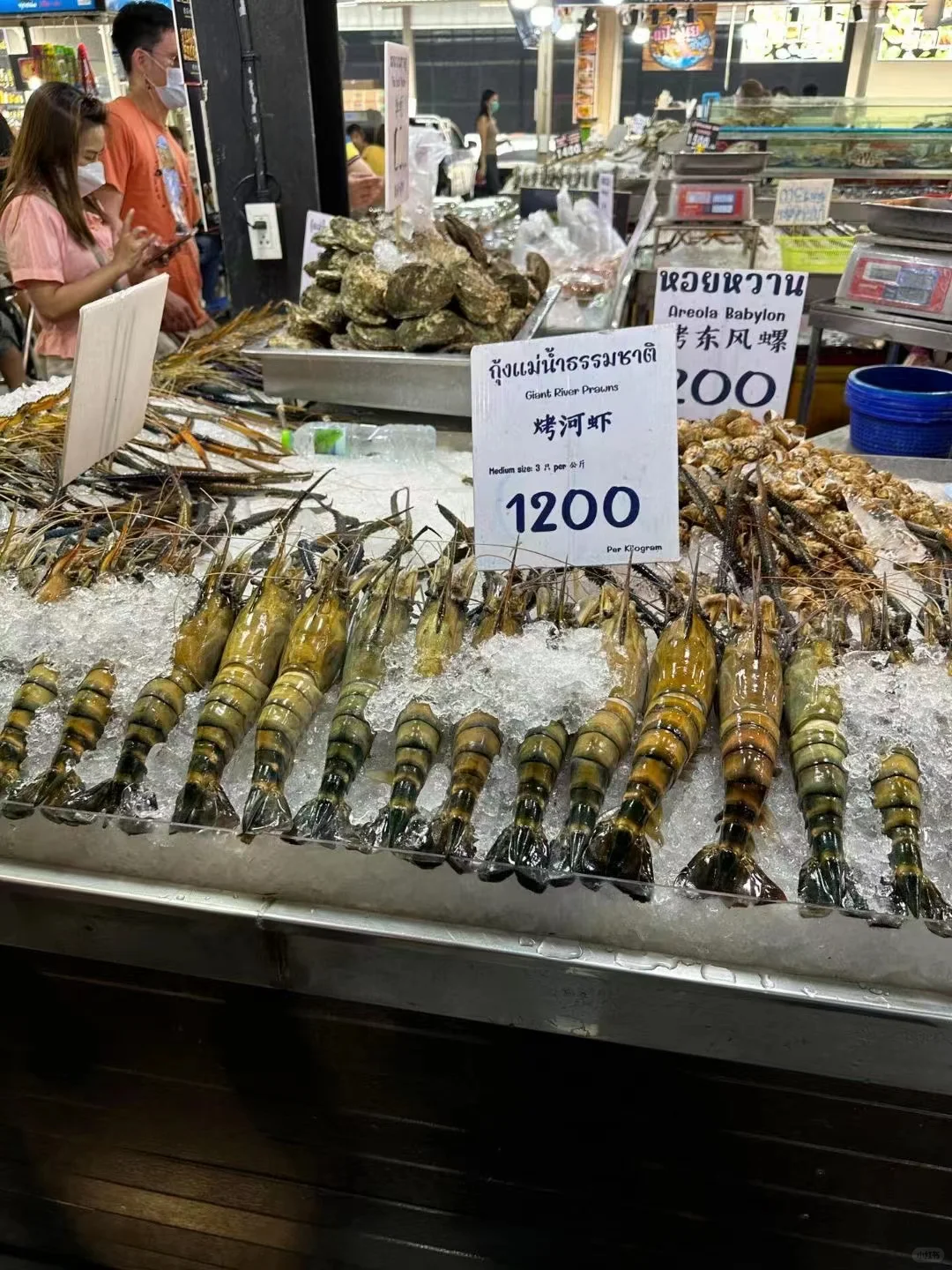 Phuket-Lobsters longer than your arms?! Phuket Night Market is waiting for you to experience