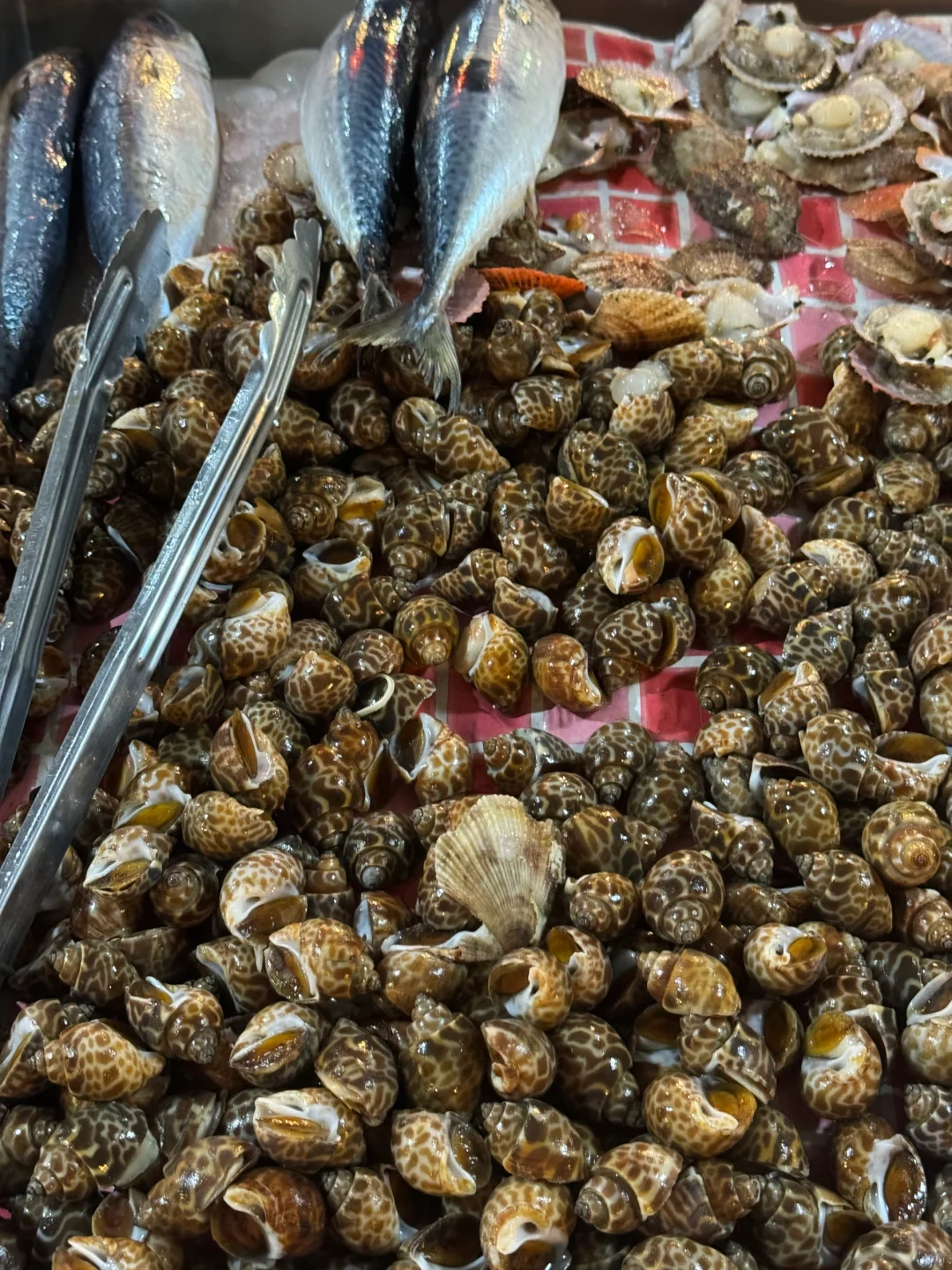 Phuket-Prechaya BBQ Buffet, Enjoy a Sumptuous Seafood BBQ for 339 Baht in Phuket, Thailand