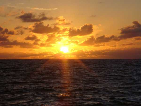 Phuket-Phuket, Thailand - Phi Phi Island Self-guided Tour Guide (Very Detailed Pictures and Text)