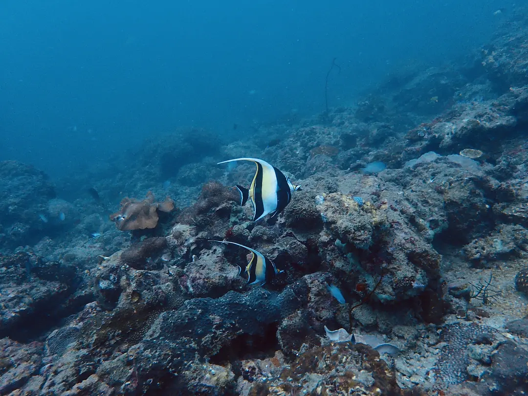 Krabi-Next holiday, let's go diving in Krabi together "First diving experience and precautions"
