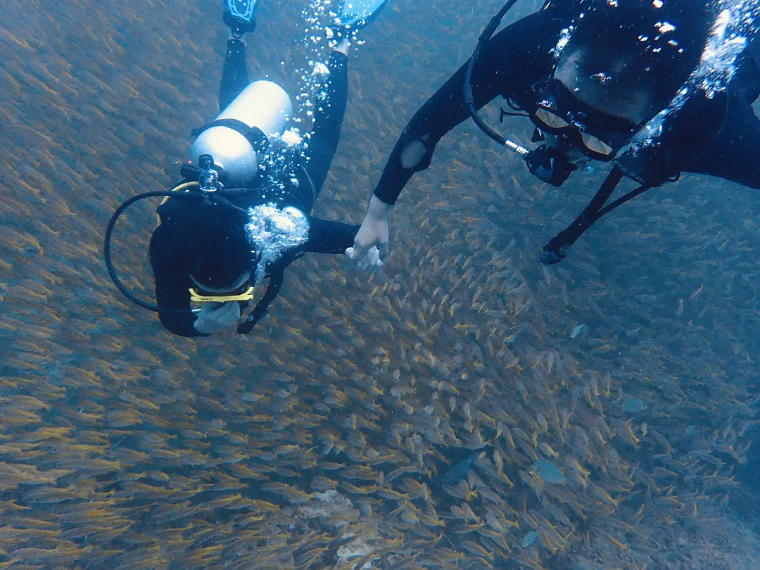 Krabi-Next holiday, let's go diving in Krabi together "First diving experience and precautions"