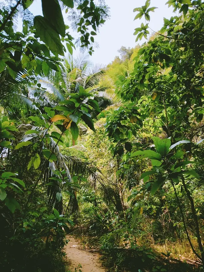 Krabi-Eat, drink and lie down in Krabi, put on a flowery dress and look at the mountains and the sea