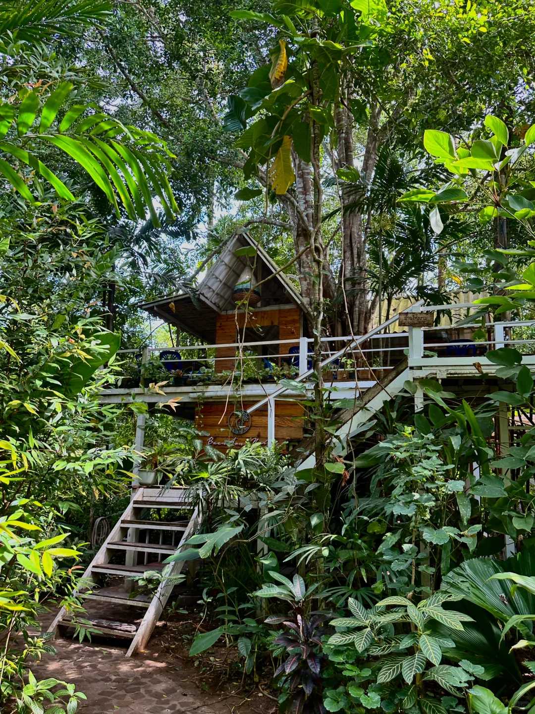 Krabi-Krabi, Thailand is so fun, an ideal holiday destination. Good food, fun and cheap