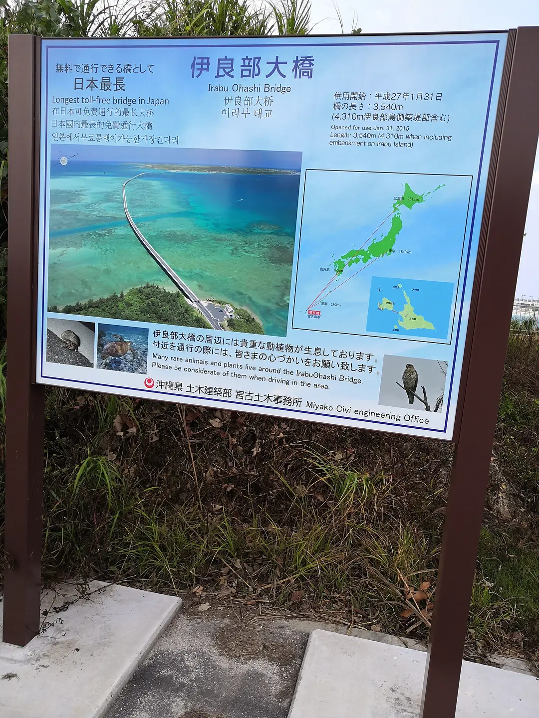 Okinawa-What does it feel like to ride the waves? I learned kitesurfing in Okinawa