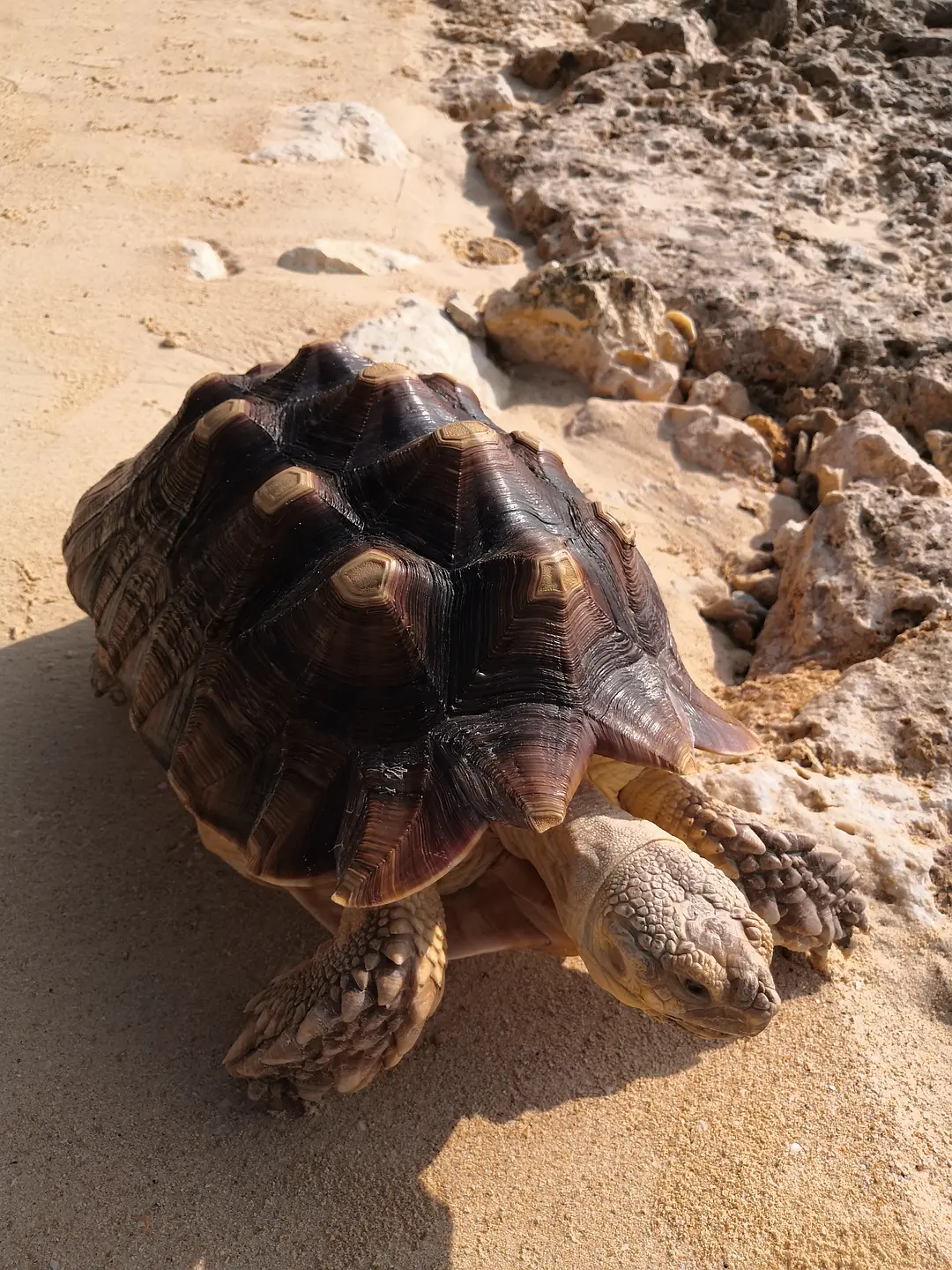 Okinawa-What does it feel like to ride the waves? I learned kitesurfing in Okinawa
