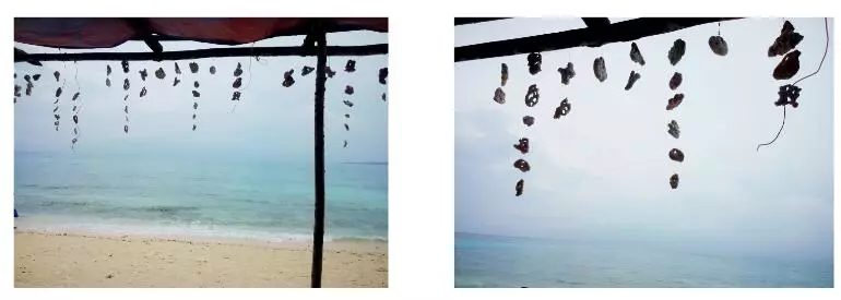 Boracay-Travel tips, diving and food experience in Boracay, Philippines
