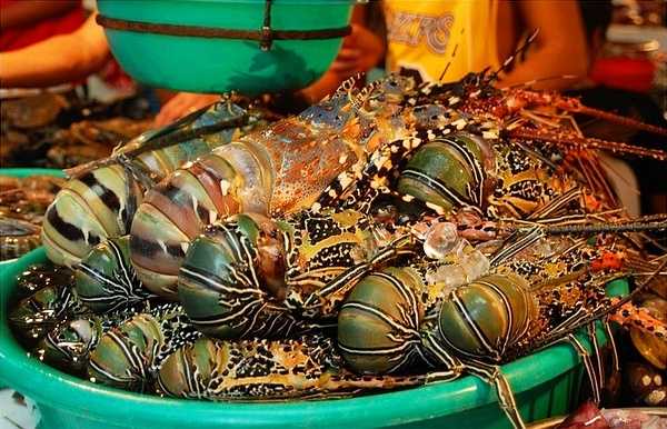 Boracay-Boracay Food Landmark, D'talipapa Seafood Market Sweep Guide