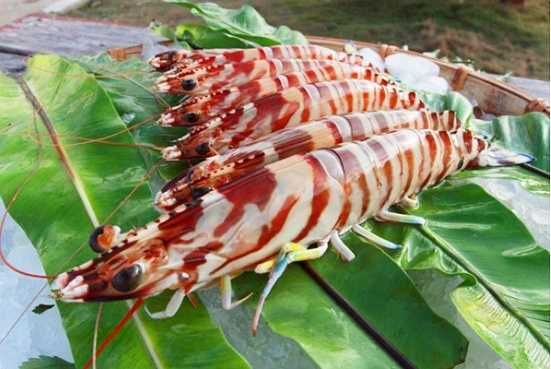 Boracay-Boracay Food Landmark, D'talipapa Seafood Market Sweep Guide