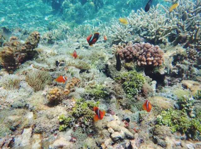 Boracay-If you want to find a beautiful island with a very high cost performance, you can come to Boracay.