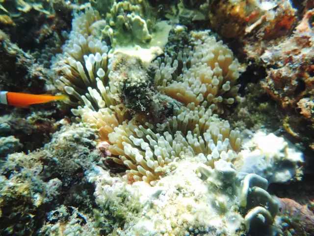 Boracay-If you want to find a beautiful island with a very high cost performance, you can come to Boracay.