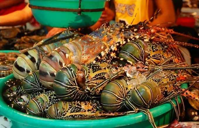 Boracay-Boracay restaurants worth visiting. International restaurants, Chinese restaurants, dessert shops