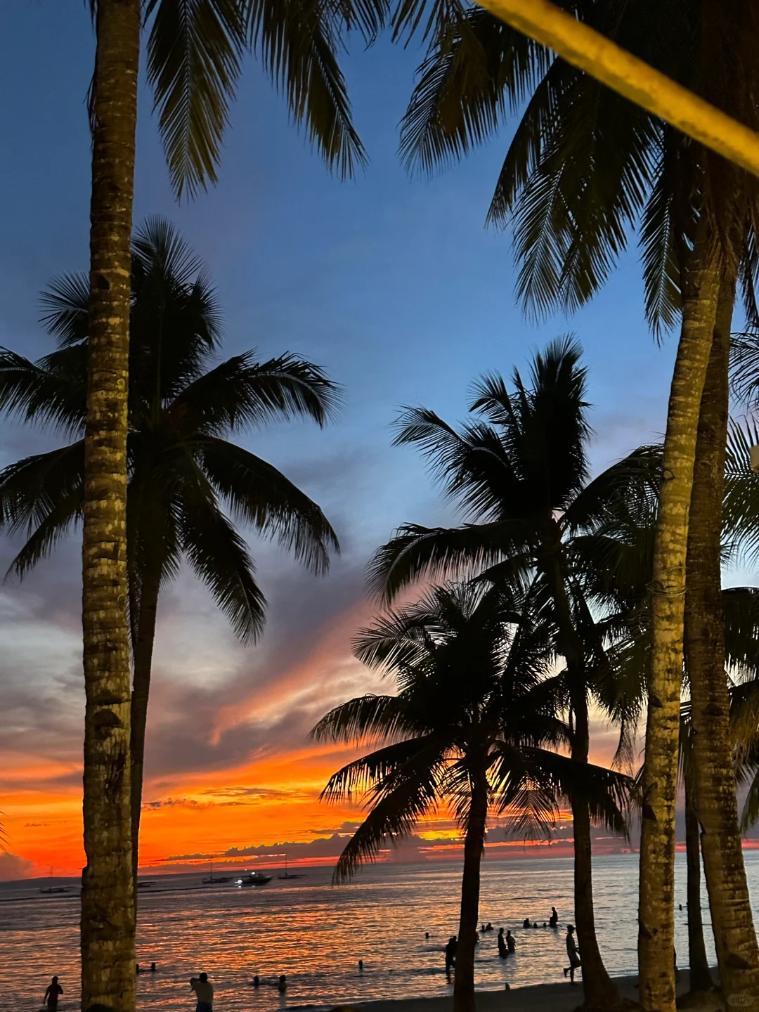 Boracay-Boracay COAST Hotel, free airport pick-up service, full service from the airport to the hotel