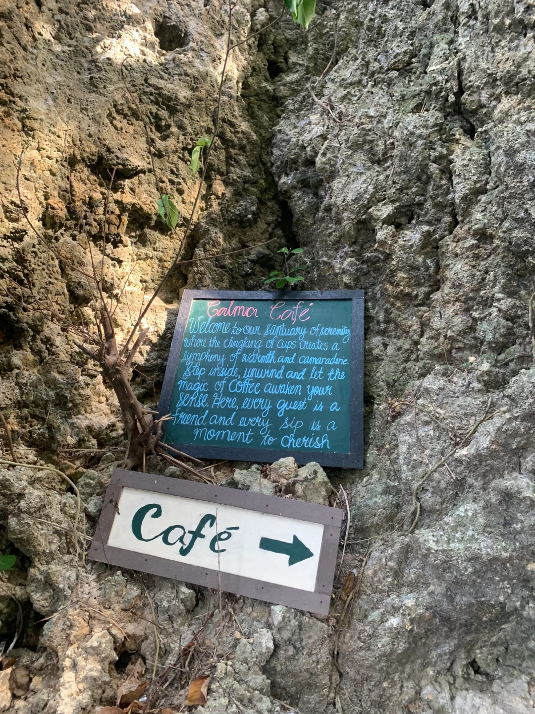 Boracay-Calma Cafe?Boracay Tree House Cafe, the net bed and tree house are my favorites