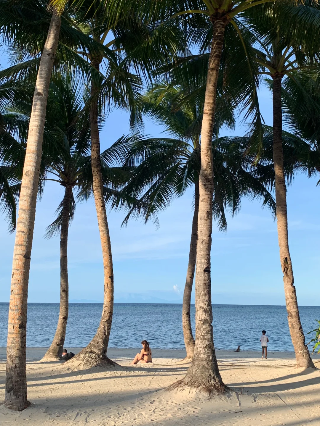 Boracay-Calma Cafe?Boracay Tree House Cafe, the net bed and tree house are my favorites