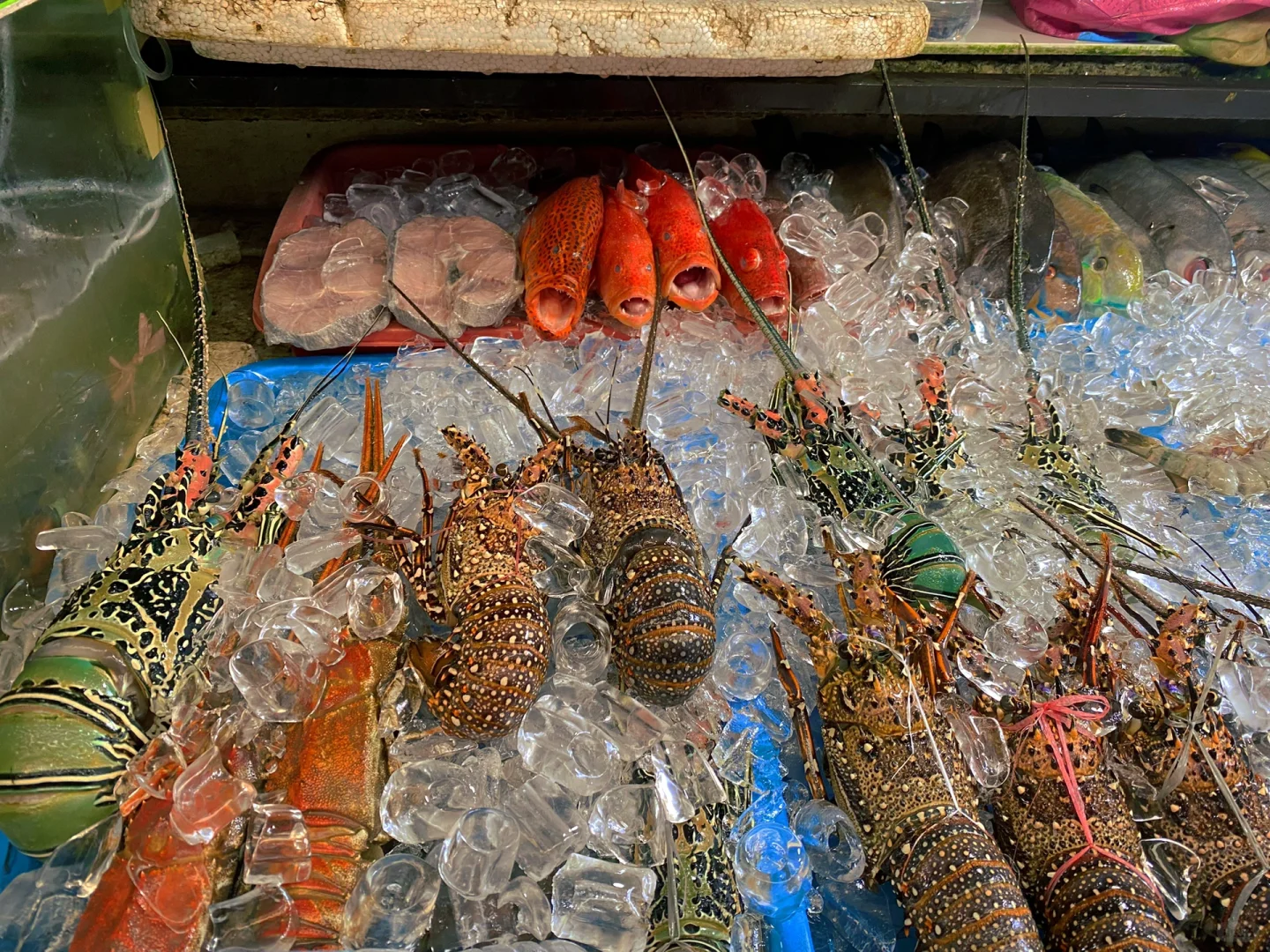 Boracay-Travel Guide to Boracay?, Philippines | Eat, Drink and Have Fun at Dmall